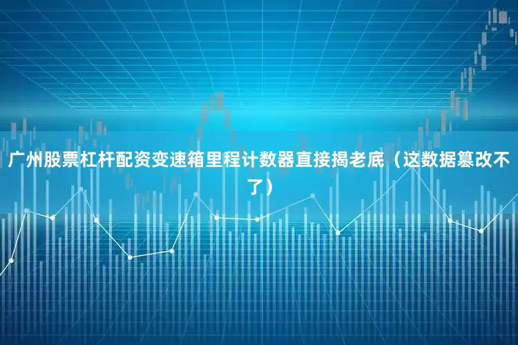 广州股票杠杆配资变速箱里程计数器直接揭老底（这数据篡改不了）